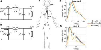 Robust arterial compliance estimation with Katz’s fractal dimension of photoplethysmography